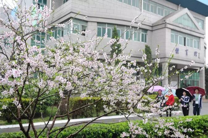 昆山最厉害的10所小学曝光,昆山十大高中