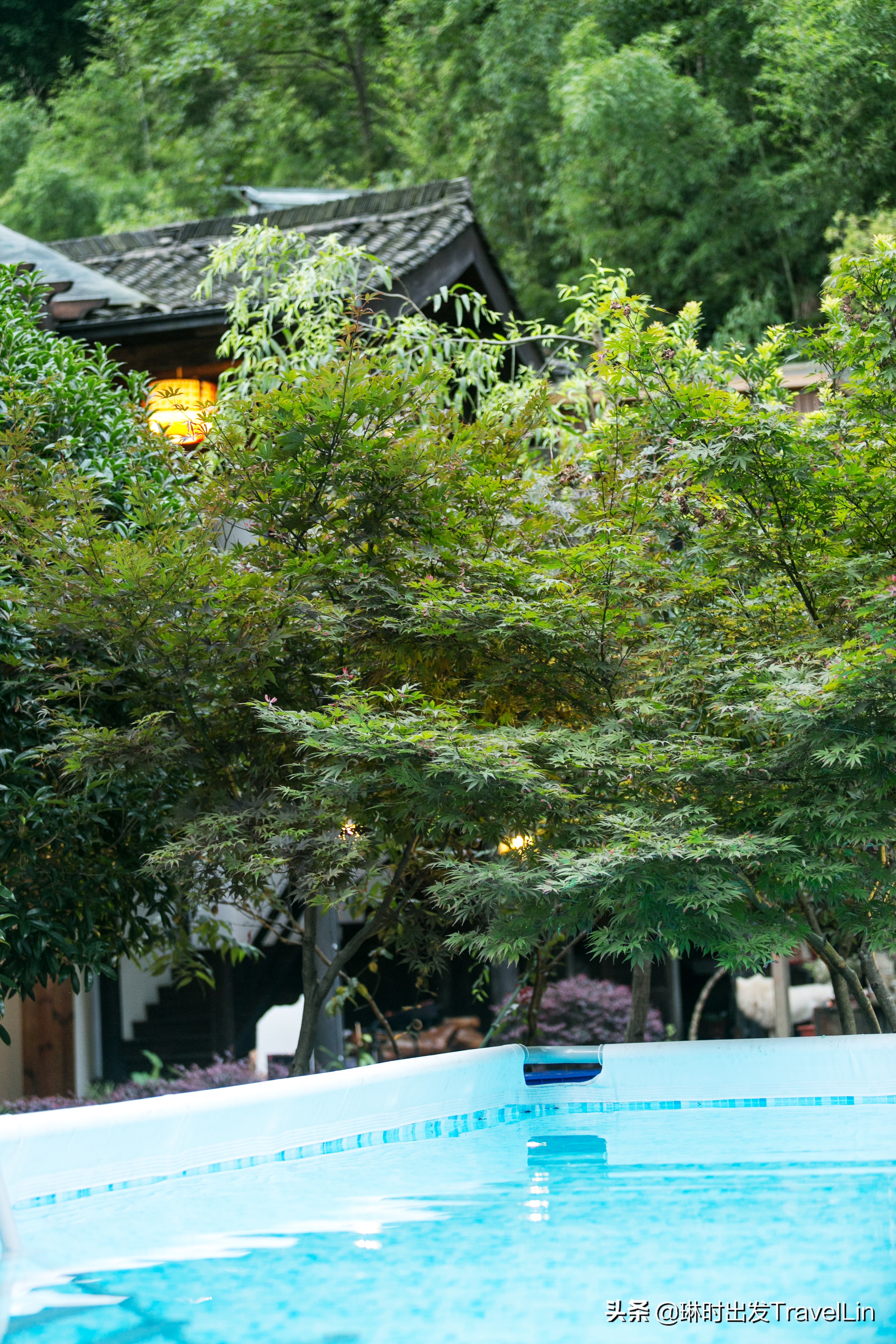 莫干山温泉游玩攻略,莫干山冬天泡汤旅游攻略