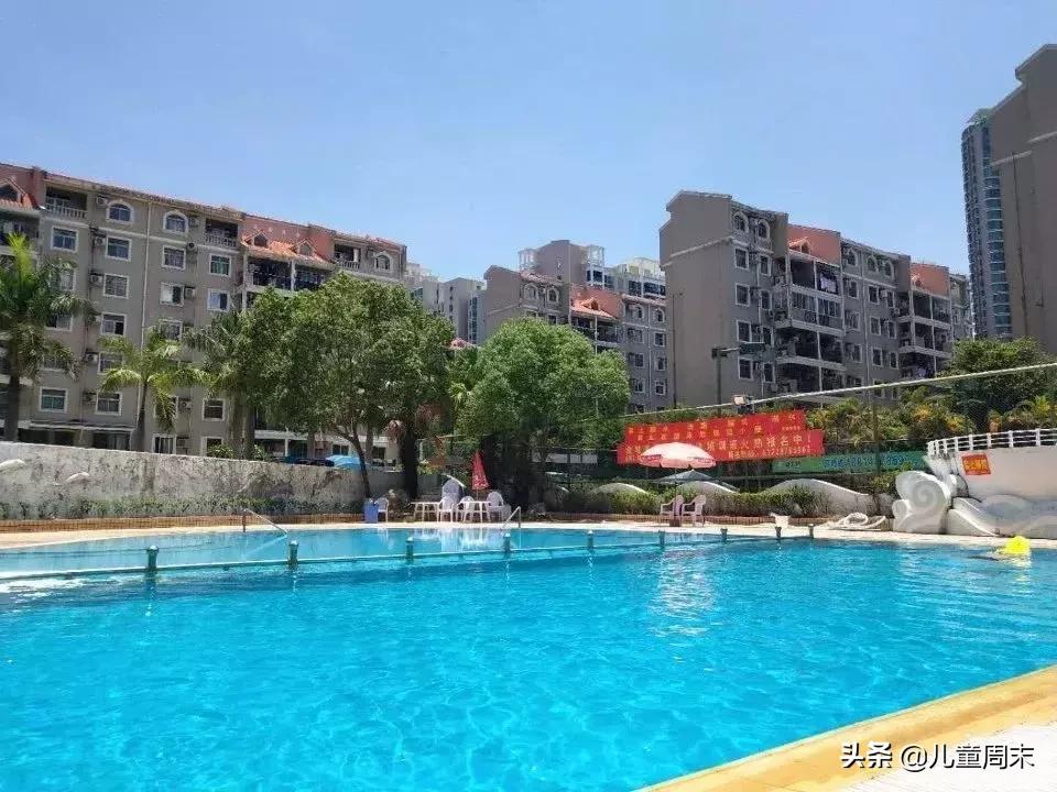 深圳游泳教练培训学校有哪些,深圳成人游泳培训班哪里好