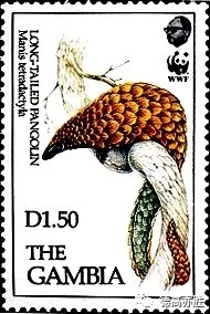 童正祥：邮票上的穿山甲故事