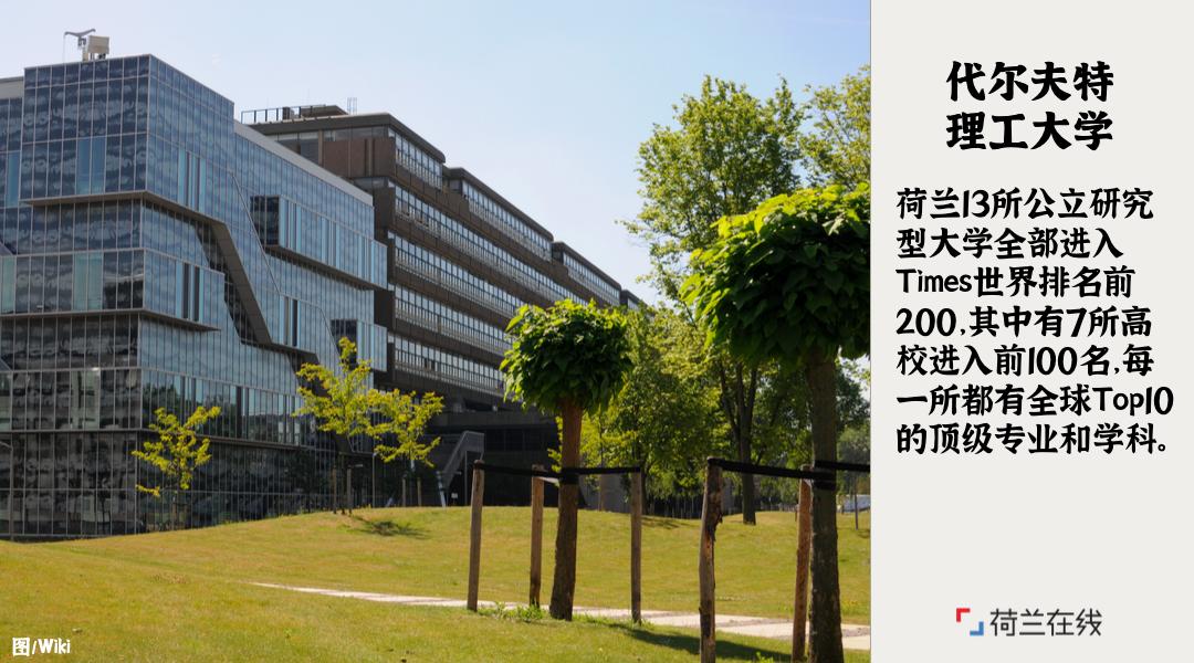 荷兰的郁金香风车牧场和运河,荷兰郁金香风车美景