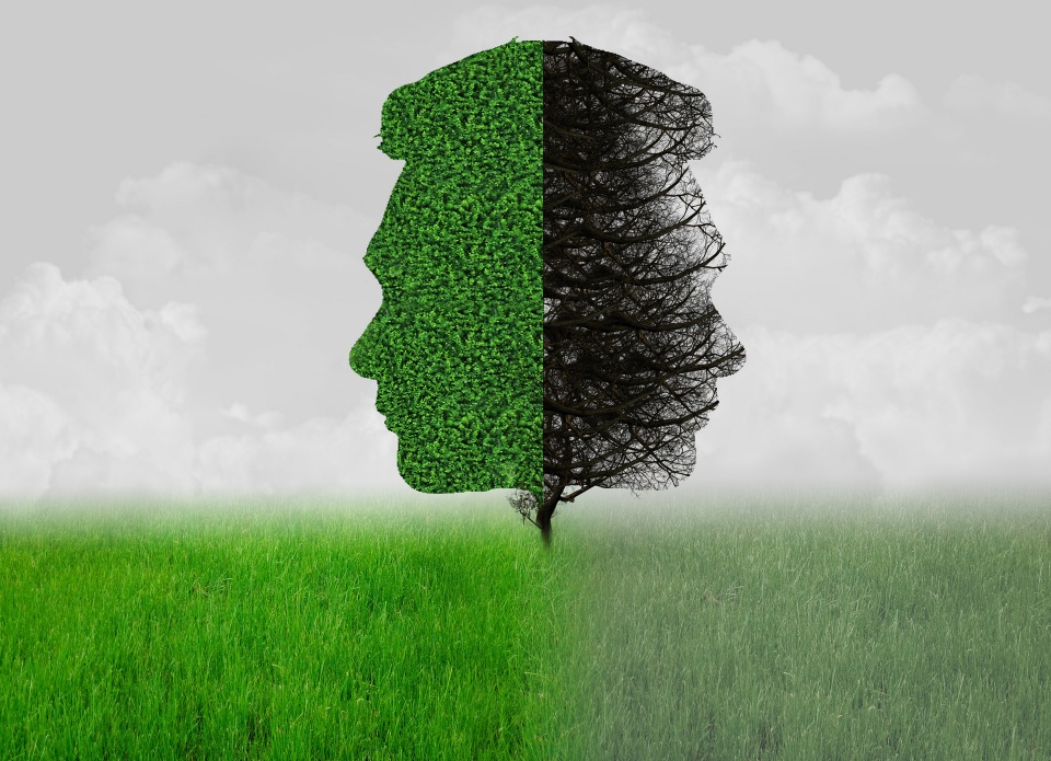 当你觉得很累的时候说明你在进步,当你觉得很累再坚持一会