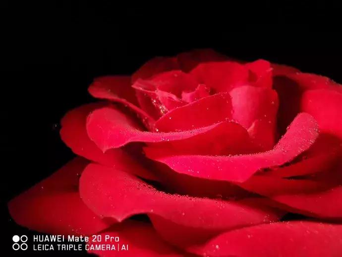 过年换什么手机好更有性价比,过年了买什么手机最合适