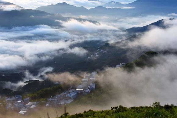 别再被骗了这才是正宗福鼎白茶,云南正宗滇红茶