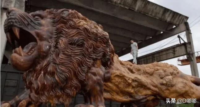 中国最大雄狮根雕,东方雄狮根雕300万