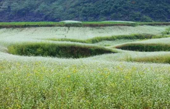 广西最后的香格里拉,隆安县最后一块净土,南宁隆安更望湖