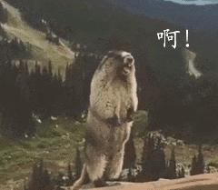 腋毛脱毛后长粗怎么办,腋毛用什么脱毛比较好