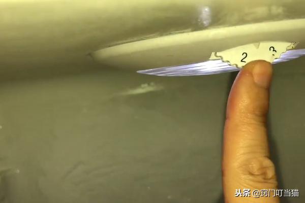 冰箱里放一个小东西永不结冰,冰箱上隐藏一个小机关