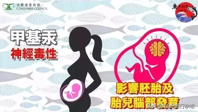 假期打卡魔都网红餐厅,假期打卡美食店