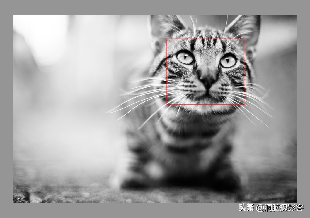 拍照对焦的基本知识,拍图片对焦方法是什么原理