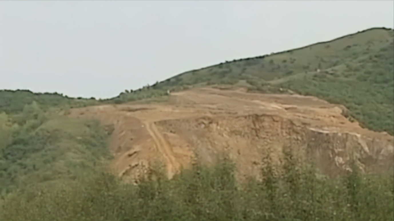 毒蝎进村的真实事件,毒蝎进村的真实原因