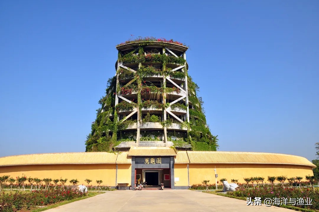 杨村金钱龟养殖基地,惠州李艺金钱龟生态园生意好吗