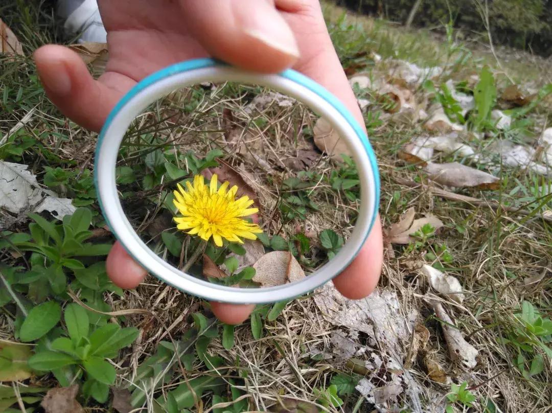 镜中的武工院，是最美？妙不可言？