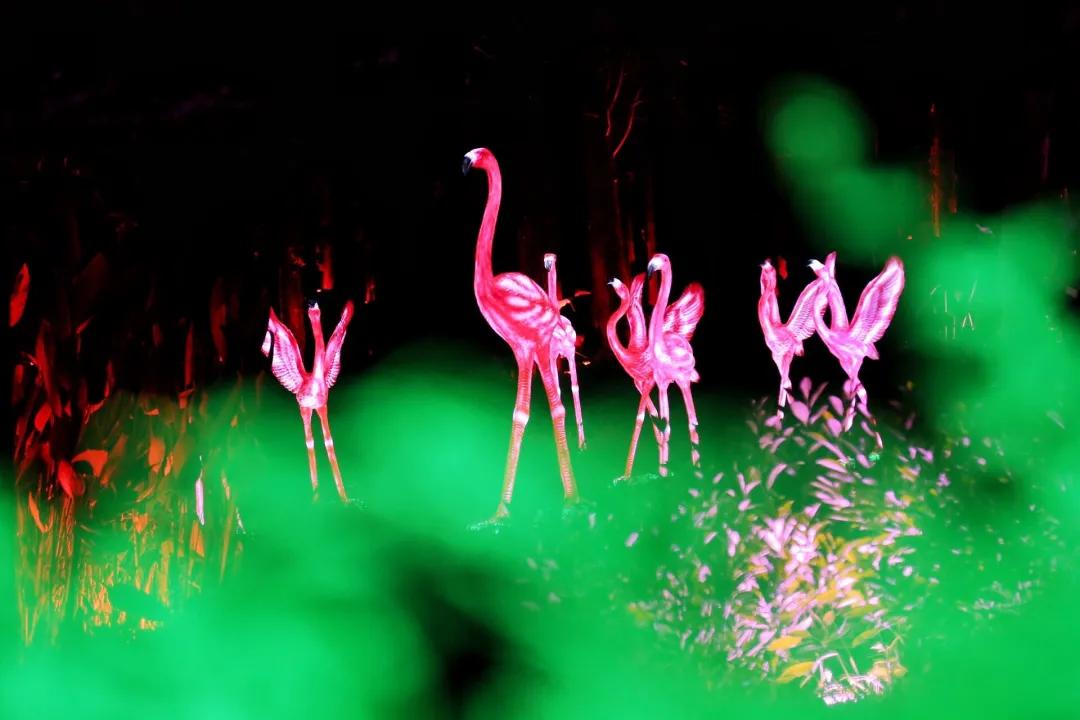 广东清远佛冈旅游攻略,广东清远佛冈森波拉旅游