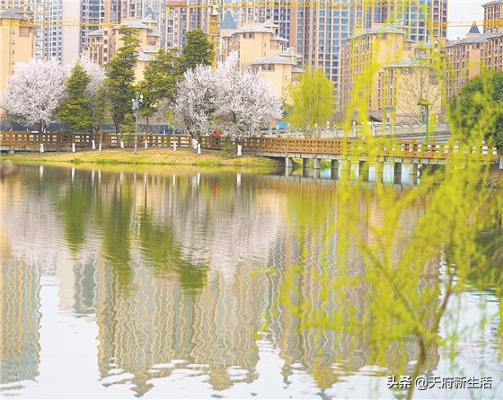 青白江攀成钢老厂区怎么修建,攀成钢和川化关停了吗