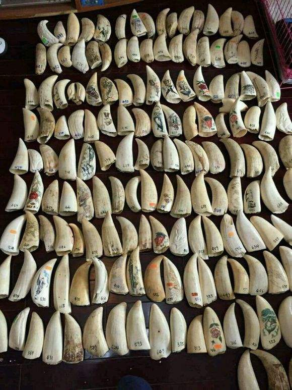 哪九种文玩不准卖,千万不能买的文玩有哪些