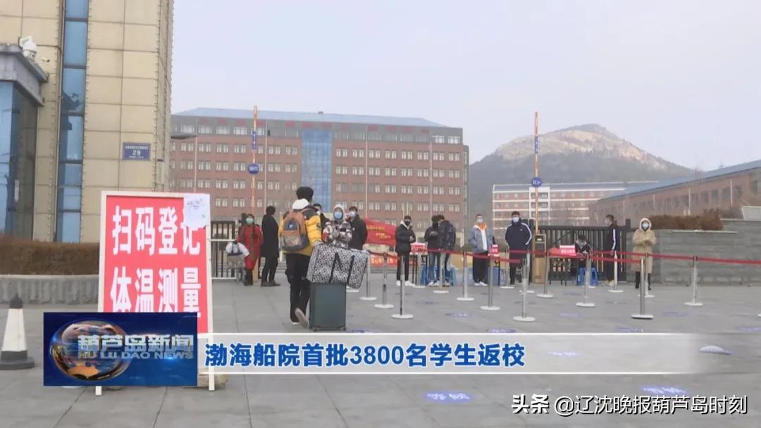 葫芦岛新闻今天,葫芦岛新闻头条今天晚上