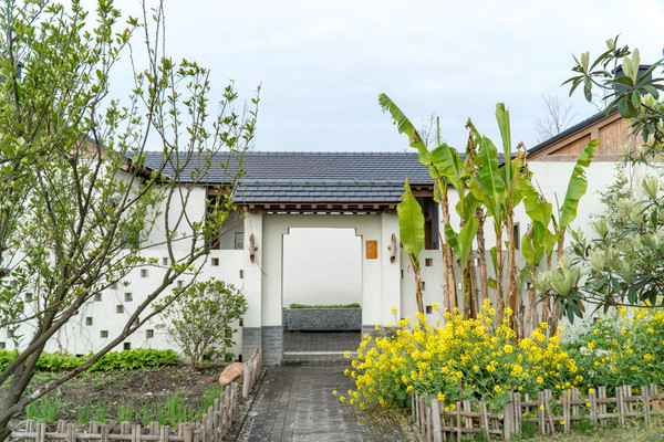 踏春赏花正当时，打卡千垛水上油菜花！玩转兴化景点美食全攻略