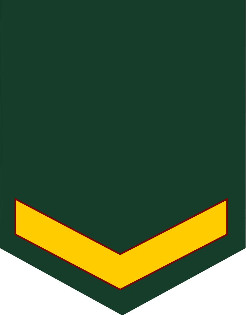 民国国军军装军衔标识,马来西亚军队军衔图集