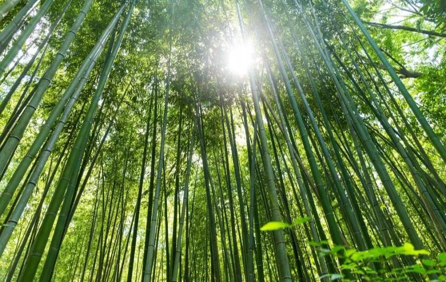 成都五一旅游人少亲子游景点推荐,五一成都旅游去哪儿玩