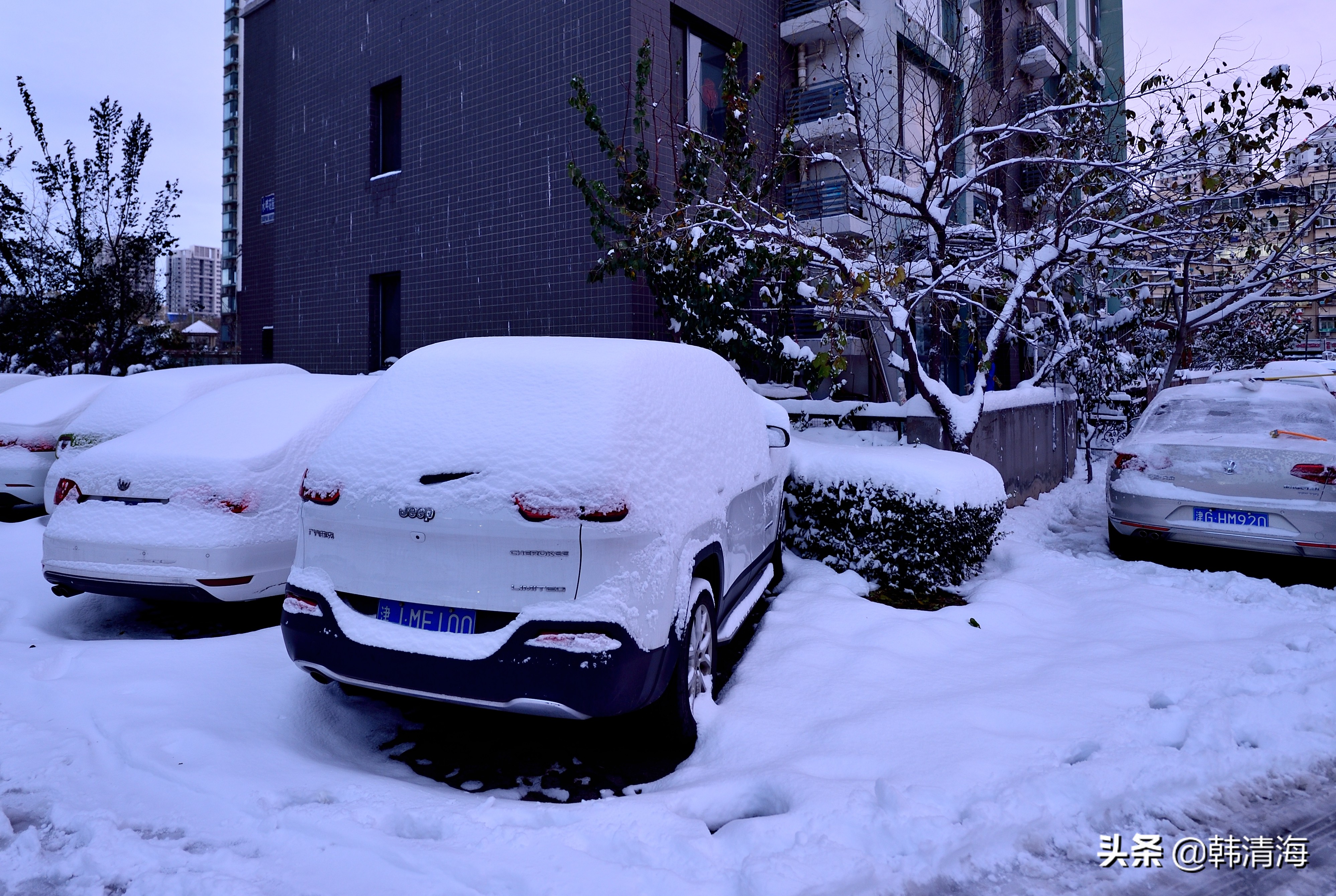 2021天津第一雪水畔花园小区装扮得更加圣洁和美丽