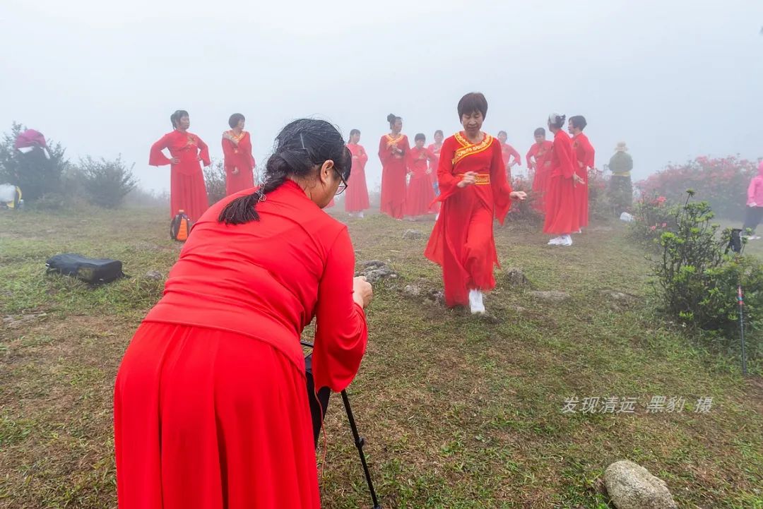 在天露山杜鹃花海丛中劲跳广场舞，这帮广东大妈又火了