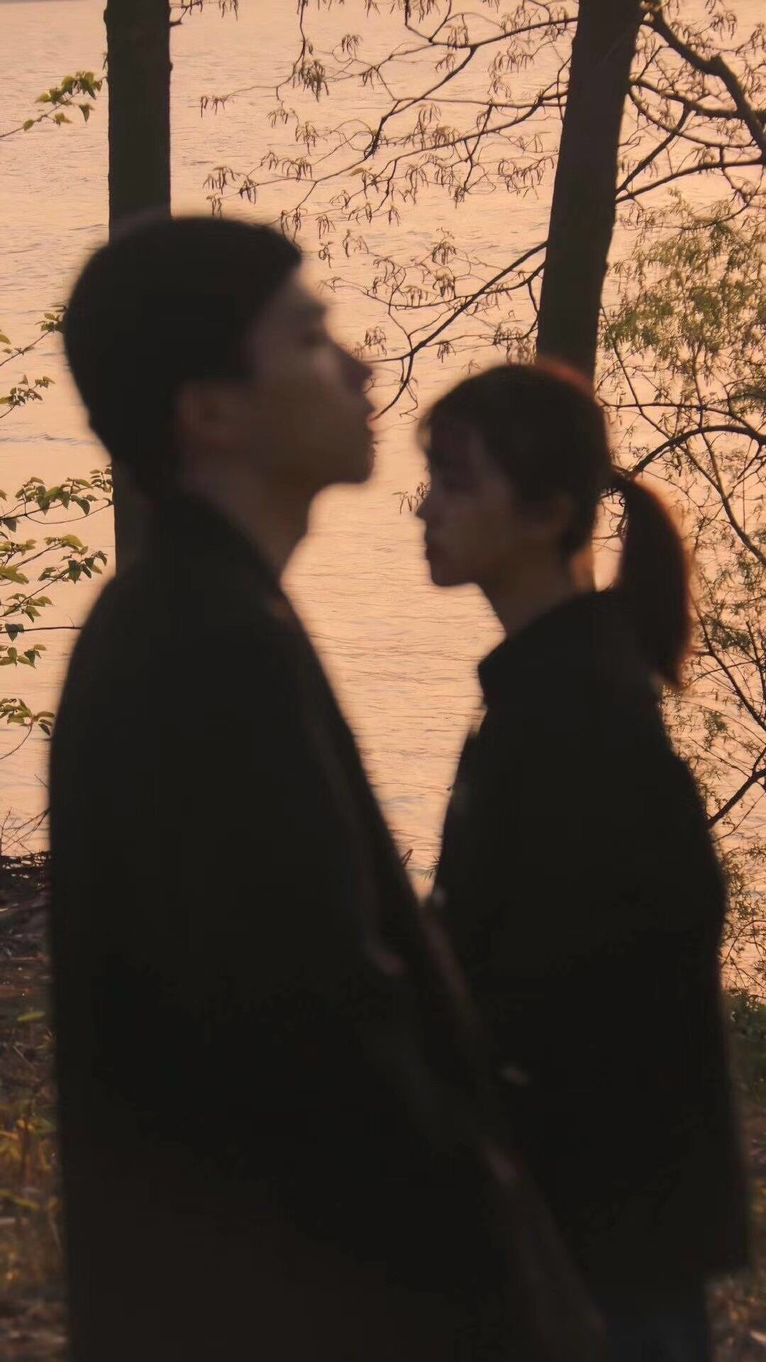 曲面立体感壁纸高清全面屏无水印,变形金刚高清壁纸4k超清全面屏