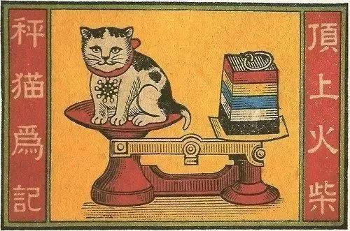 为什么古早广告会出现猫,为何古早广告中经常出现猫