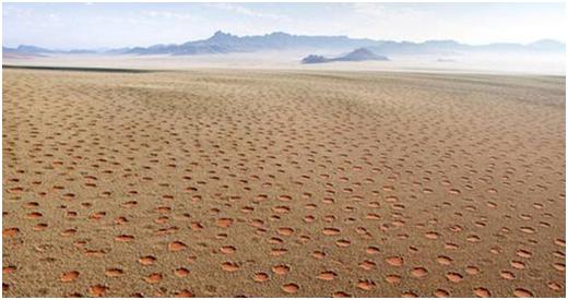 科学家未解的四大之谜,四个已经解开的未解之谜