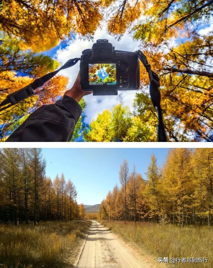 冬季克旗旅游自驾游攻略,克什克腾旗看秋色攻略