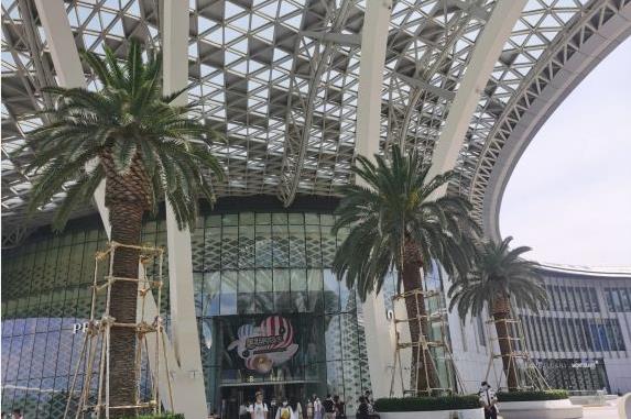 三亚海棠湾免税店租车,三亚免税店的包车