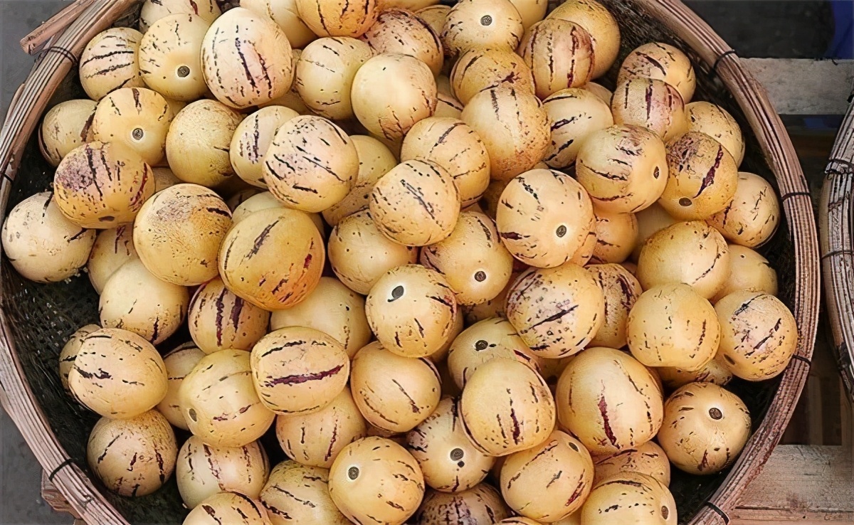 茄子引进中国的历史,茄子从哪个国家引进中国的