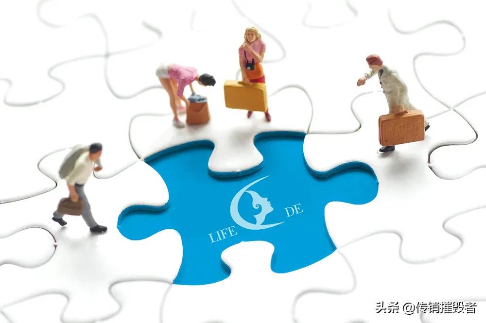 莱芙蔻最近消息,上海莱芙蔻