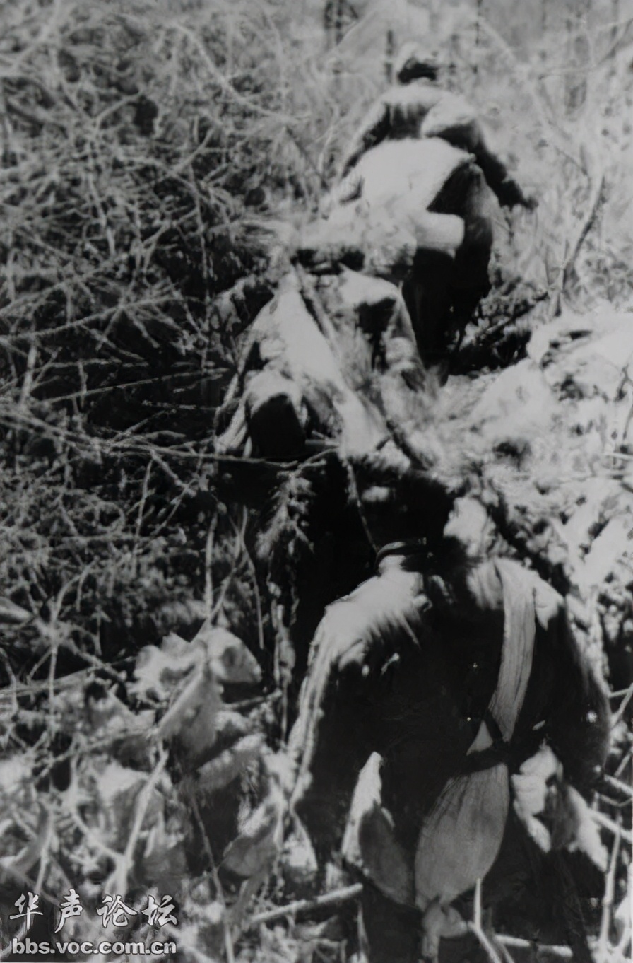 抗美援朝三次战役态势图,抗美援朝第三次战役图解