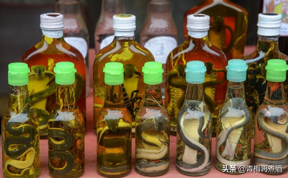 活蛇泡酒寄生虫能泡死么,蛇泡酒泡了三年没死还咬死个人