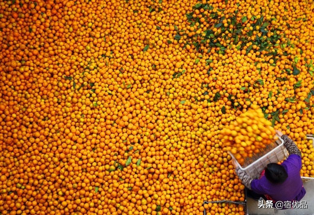 32张美景图片,苏州东山西山风景区哪个更值得去