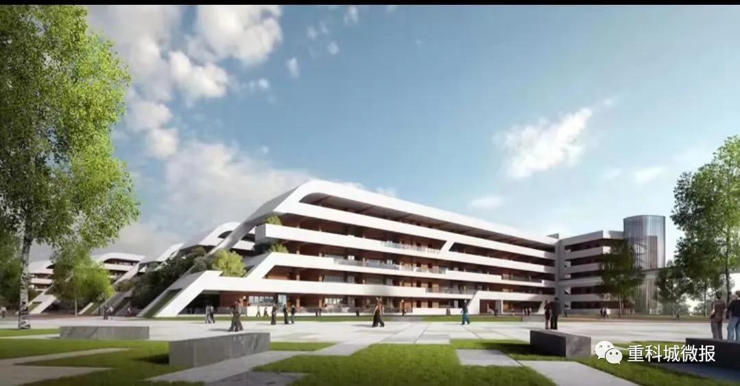 南开中学、南渝中学、树人小学、沙坪坝小学……这些名校扎堆了