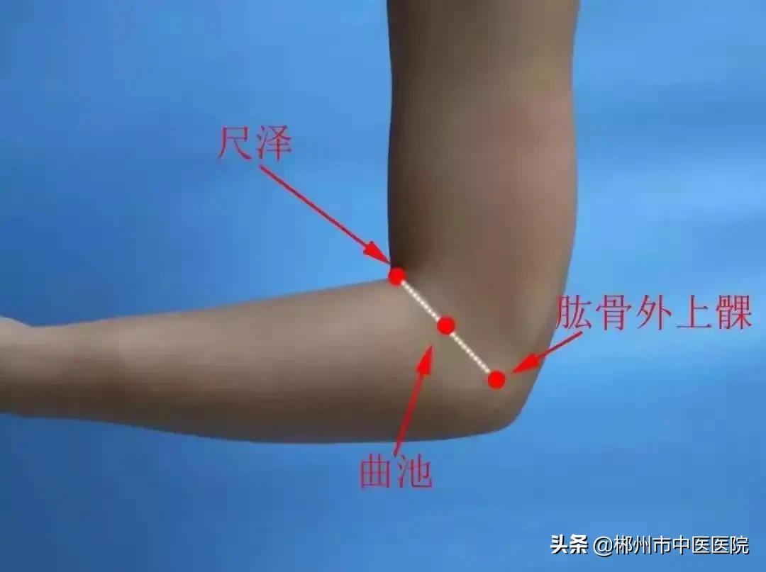 减肥何须心灵鸡汤,减肥何须饿肚子