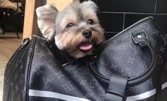 前国脚和二婚白富美,前国脚娶了二婚白富美