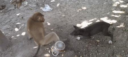 把车标全部抠掉违法吗,把车标抠下来清灰