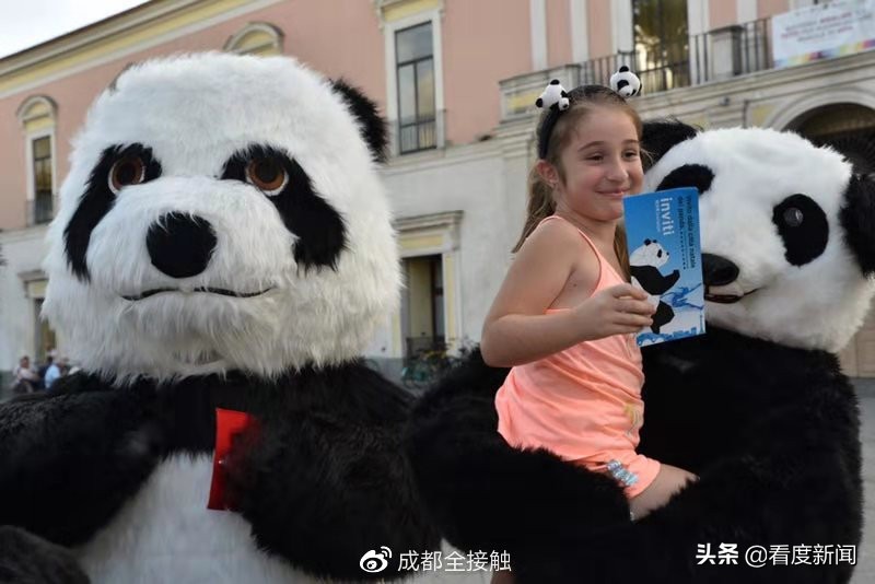 熊猫宝宝来中国,成都熊猫婴儿