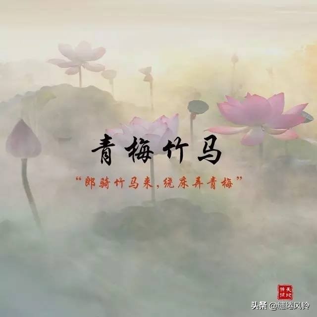 含有暗香的古诗成语,古诗词中的绝美成语