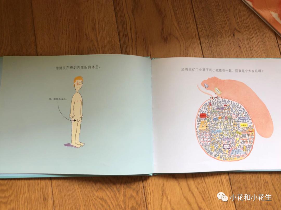 小孩性启蒙怎么引导,孩子自我保护性启蒙