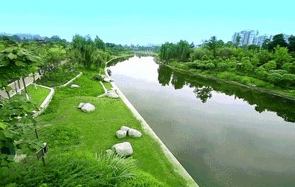 藏不住的双流,双流8500亩城市湿地公园