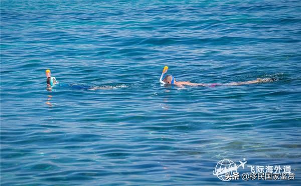 希腊移民有哪些医疗福利,希腊移民有哪些