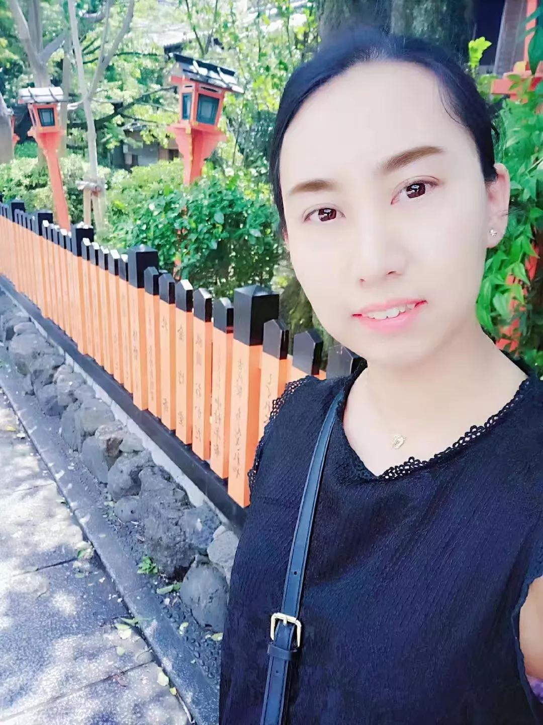 日本新干线价格,日本新干线模型