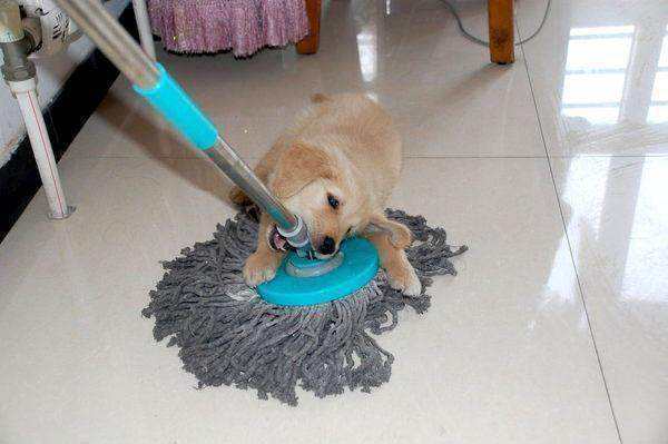 地板清洁不易沾灰,地板老是有灰尘怎么拖才干净