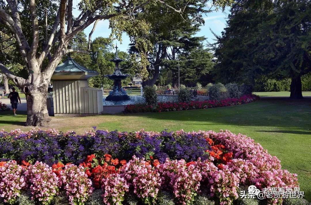 新西兰的五个漂亮的地方,新西兰最好的五大城市排名