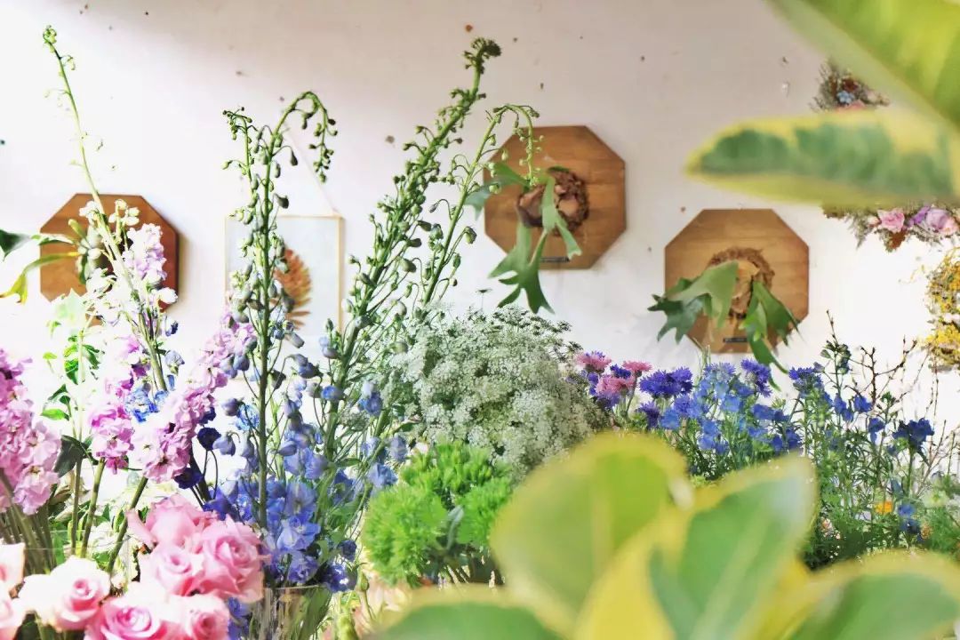 北京最美花店,她放弃了总监职位后续