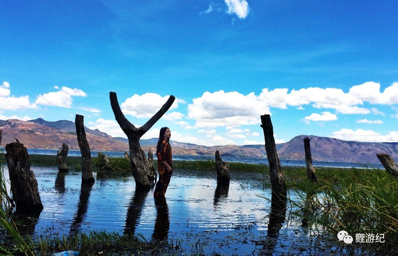 环海公路好看的图片,西南风景图片横图
